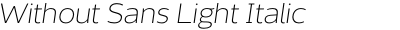 Without Sans Light Italic